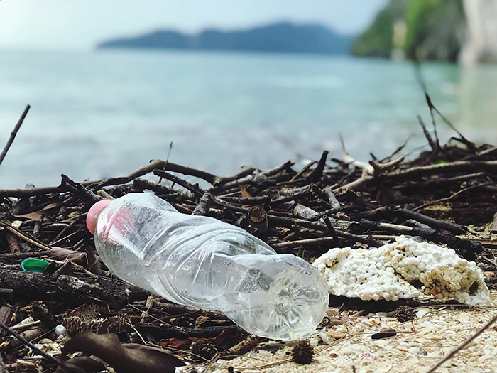 Il batterio che mangia la plastica curerà i mari inquinati