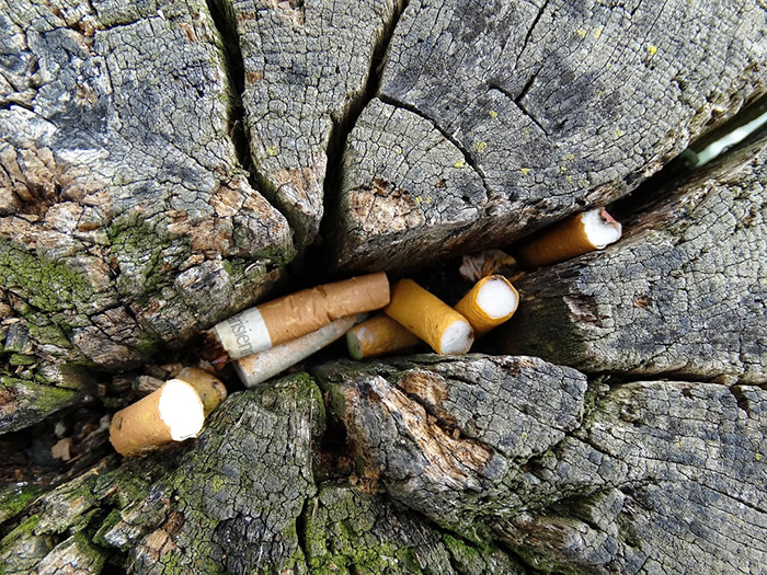 Mozziconi di sigaretta: il progetto Unicusano per rispettare l’ambiente