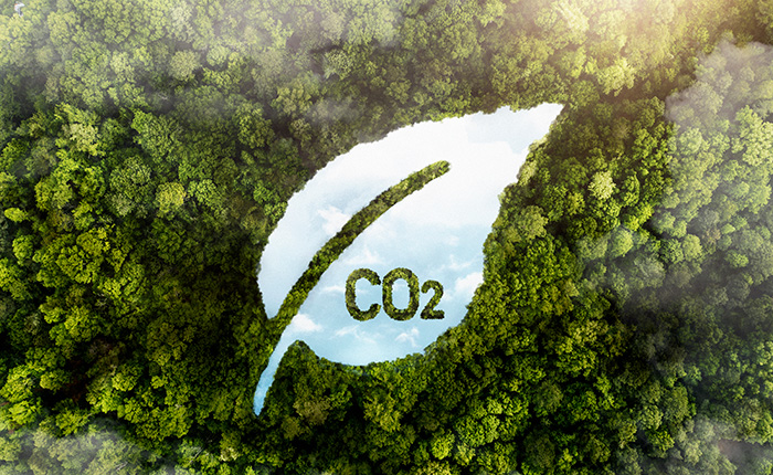 Have you ever heard about Carbon Footprint Calculator?